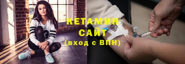 шишки Арсеньев