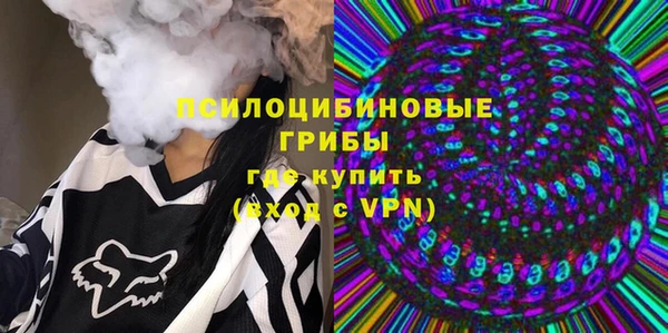 шишки Арсеньев