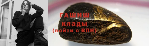 шишки Арсеньев