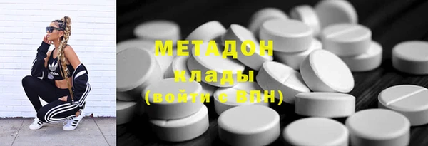 шишки Арсеньев