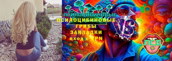 ALPHA PVP Аркадак