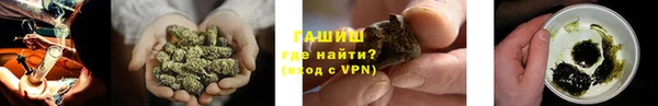 шишки Арсеньев