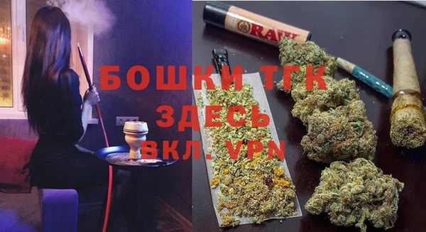 шишки Арсеньев