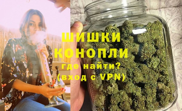 шишки Арсеньев