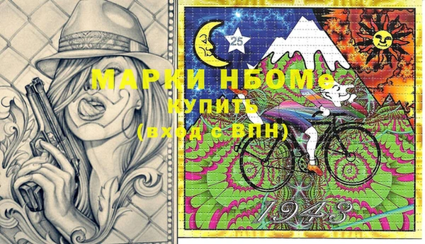 шишки Арсеньев