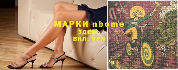 шишки Арсеньев