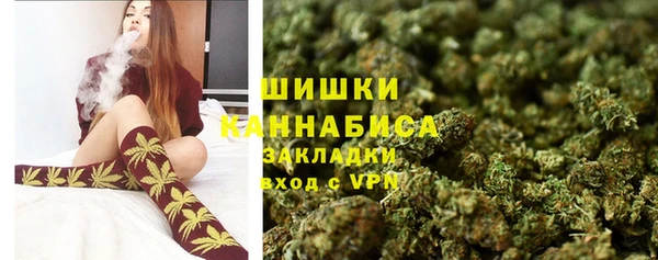 шишки Протвино