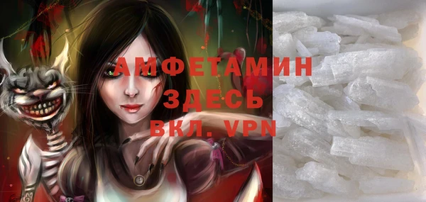 шишки Арсеньев